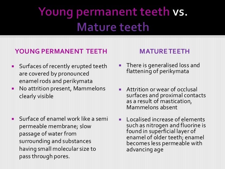When do adult teeth mature Creek chub midget beetle